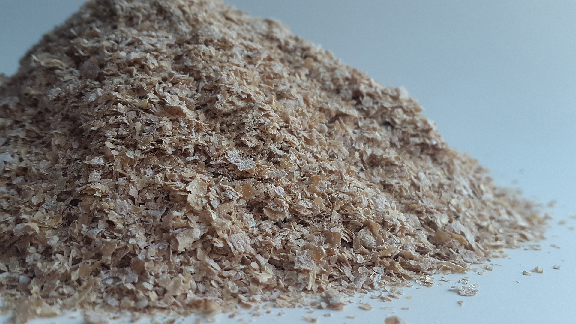 Organic Wheat Bran - CAPITAL MUSHROOMS